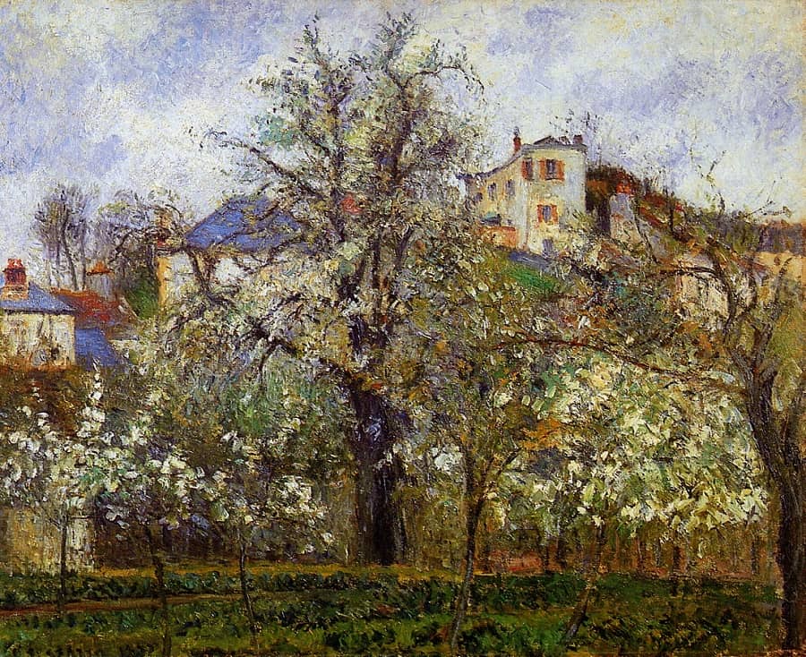 Kitchen Garden with Trees in Flower, Spring, Pontoise, 1877 by Camille Pissarro