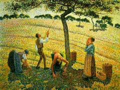 Apple Picking at Eragny-Sur-Epte by Camille Pissarro